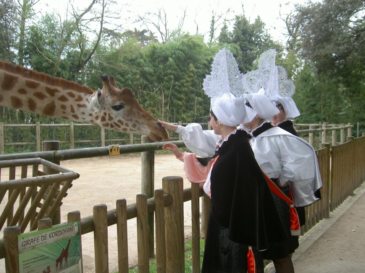 Remise des cadeaux aux Reines