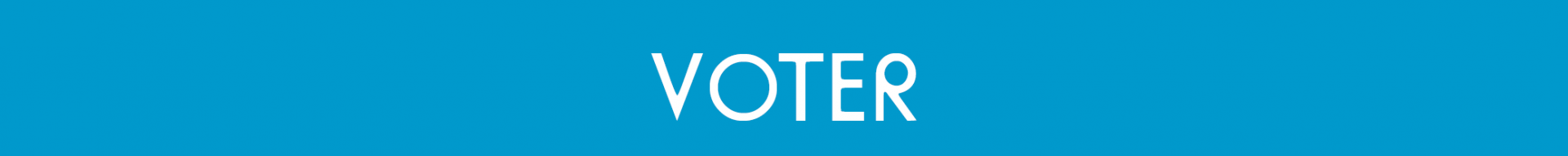Voter